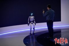 疯狂的打工机械人